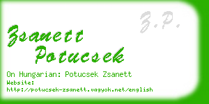 zsanett potucsek business card